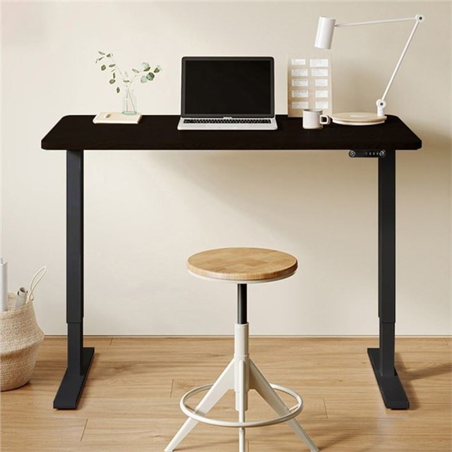 Standing Adjustable Height L Shaped Desk
